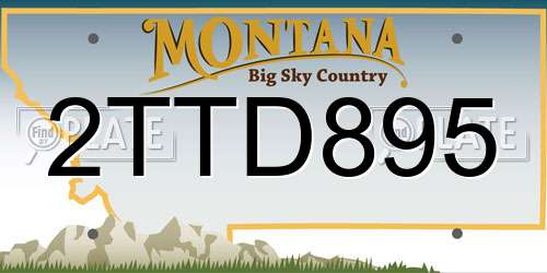 2TTD895 Montana License Plate