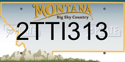 2TTI313 Montana License Plate