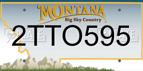 2TTO595 Montana License Plate