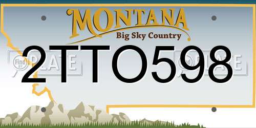 2TTO598 Montana License Plate