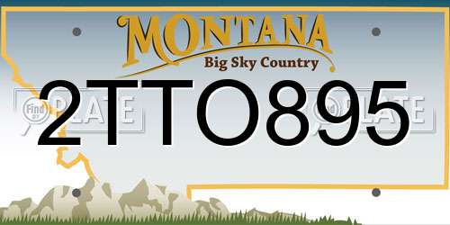 2TTO895 Montana License Plate