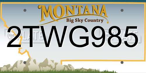 2TWG985 Montana License Plate