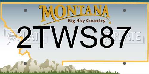 2TWS87 Montana License Plate