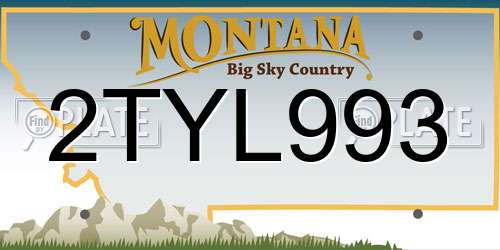 2TYL993 Montana License Plate