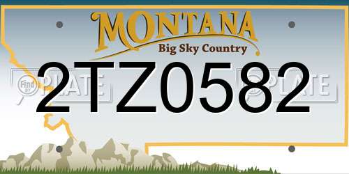 2TZ0582 Montana License Plate