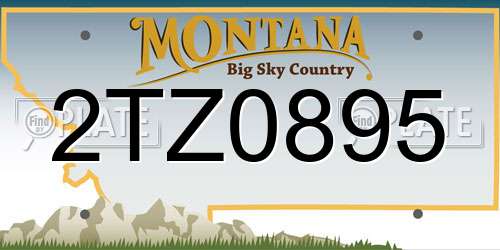2TZ0895 Montana License Plate