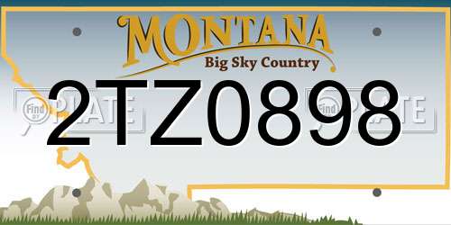 2TZ0898 Montana License Plate