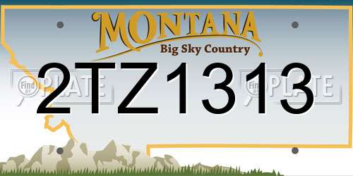 2TZ1313 Montana License Plate