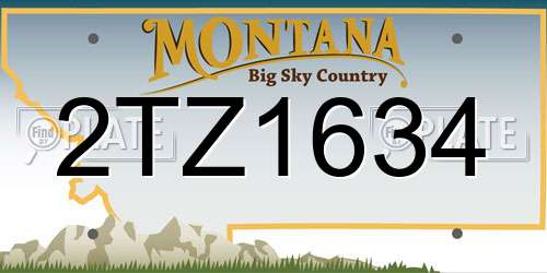 2TZ1634 Montana License Plate