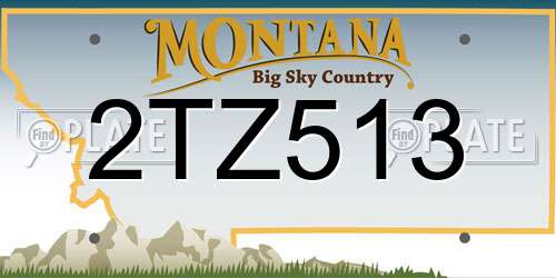 2TZ513 Montana License Plate