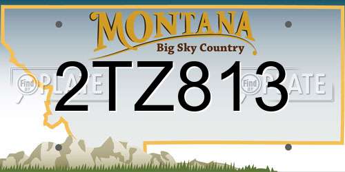 2TZ813 Montana License Plate