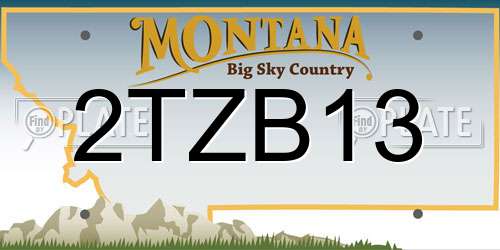 2TZB13 Montana License Plate