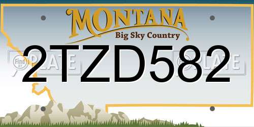 2TZD582 Montana License Plate