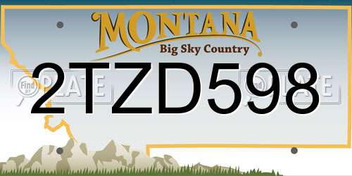 2TZD598 Montana License Plate