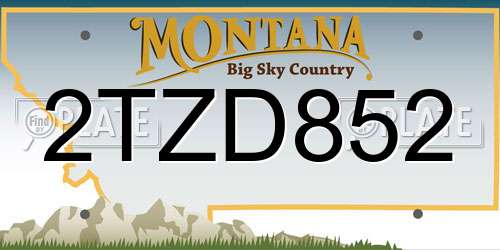 2TZD852 Montana License Plate