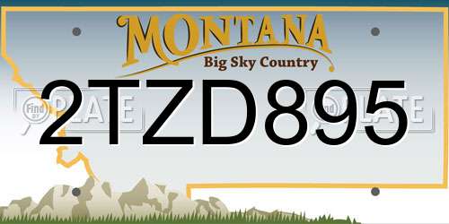 2TZD895 Montana License Plate