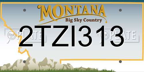 2TZI313 Montana License Plate