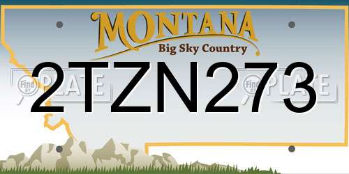2TZN273 Montana License Plate