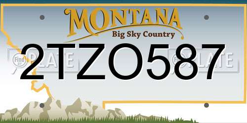 2TZO587 Montana License Plate