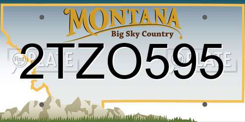 2TZO595 Montana License Plate