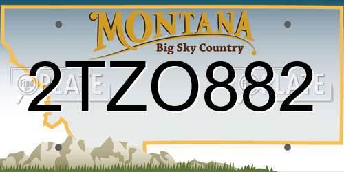 2TZO882 Montana License Plate