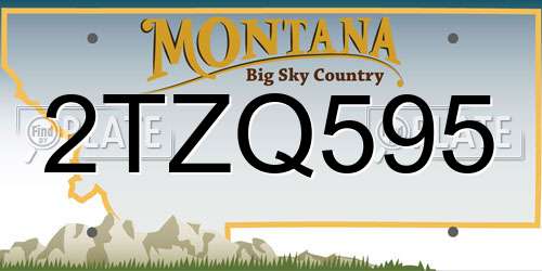 2TZQ595 Montana License Plate