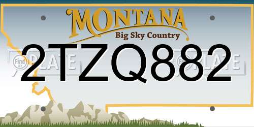 2TZQ882 Montana License Plate