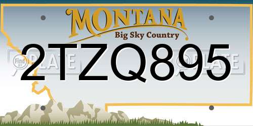 2TZQ895 Montana License Plate