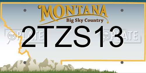 2TZS13 Montana License Plate