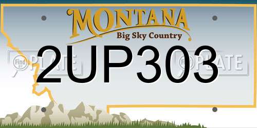 2UP303 Montana License Plate