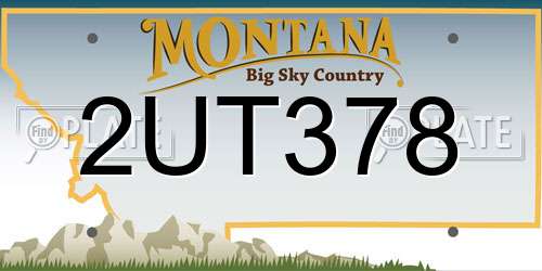 2UT378 Montana License Plate