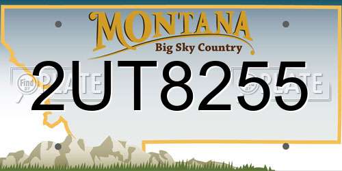 2UT8255 Montana License Plate