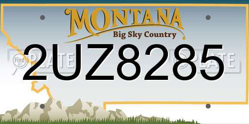 2UZ8285 Montana License Plate