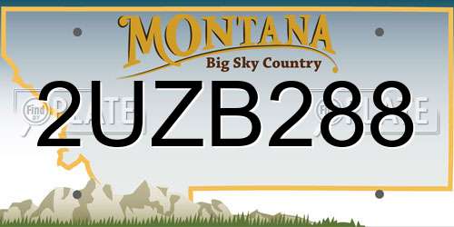 2UZB288 Montana License Plate