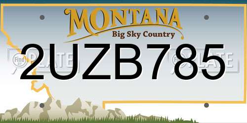 2UZB785 Montana License Plate