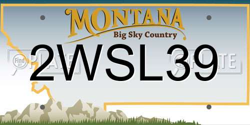 2WSL39 Montana License Plate