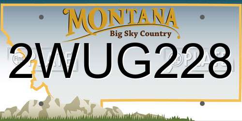 2WUG228 Montana License Plate