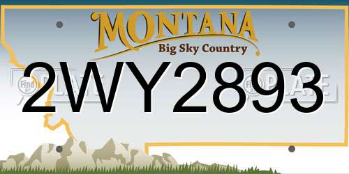 2WY2893 Montana License Plate