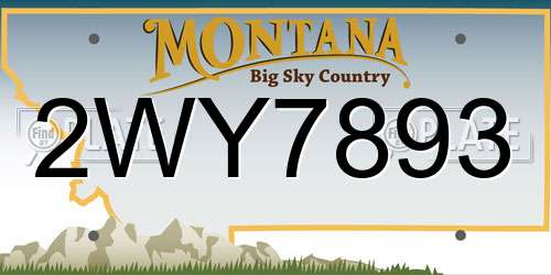 2WY7893 Montana License Plate