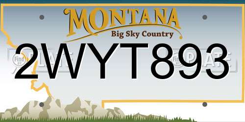 2WYT893 Montana License Plate