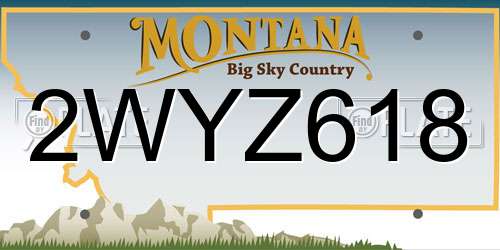2WYZ618 Montana License Plate