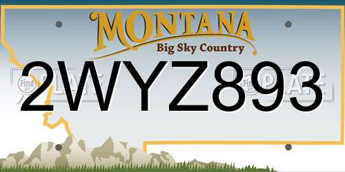 2WYZ893 Montana License Plate