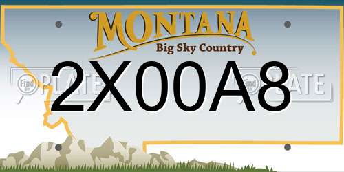 2X00A8 Montana License Plate