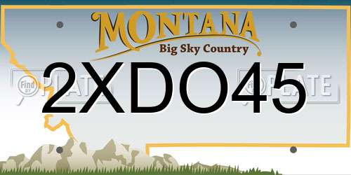 2XDO45 Montana License Plate