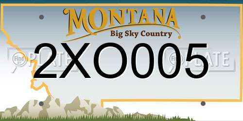 2XO005 Montana License Plate
