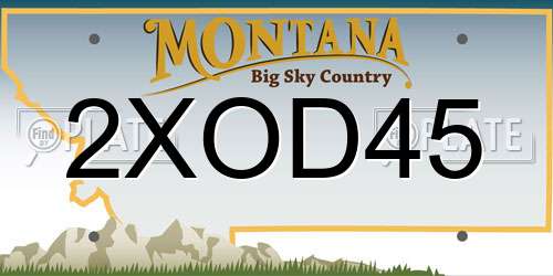 2XOD45 Montana License Plate