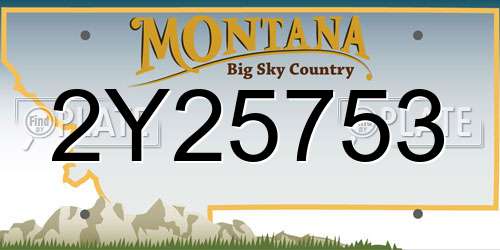 2Y25753 Montana License Plate