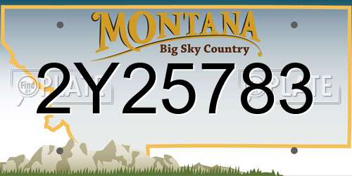 2Y25783 Montana License Plate