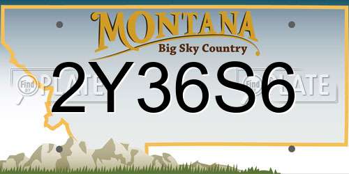 2Y36S6 Montana License Plate