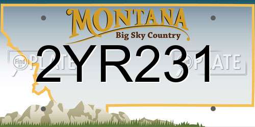 2YR231 Montana License Plate